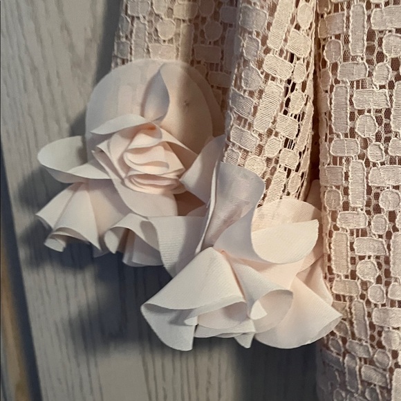 Joan Rivers Blush Textured Top with Ruffle Cuffs - Picture 3 of 11